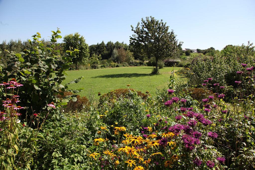 La Citadelle d'Hututu Bed & Breakfast Avesnes-sur-Helpe Eksteriør bilde